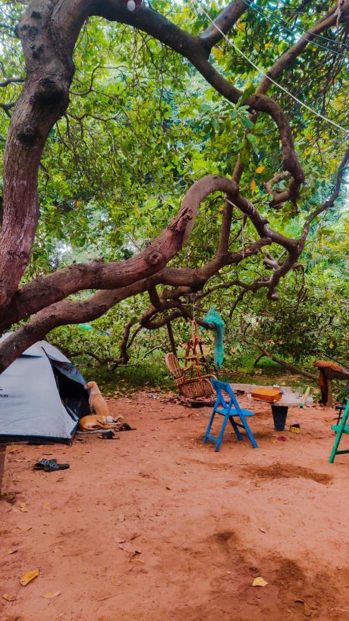 Peace Garden Hostel Auroville Luaran gambar
