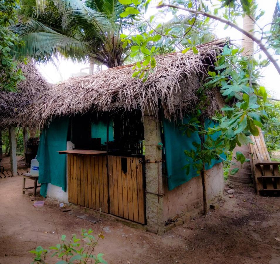 Peace Garden Hostel Auroville Luaran gambar