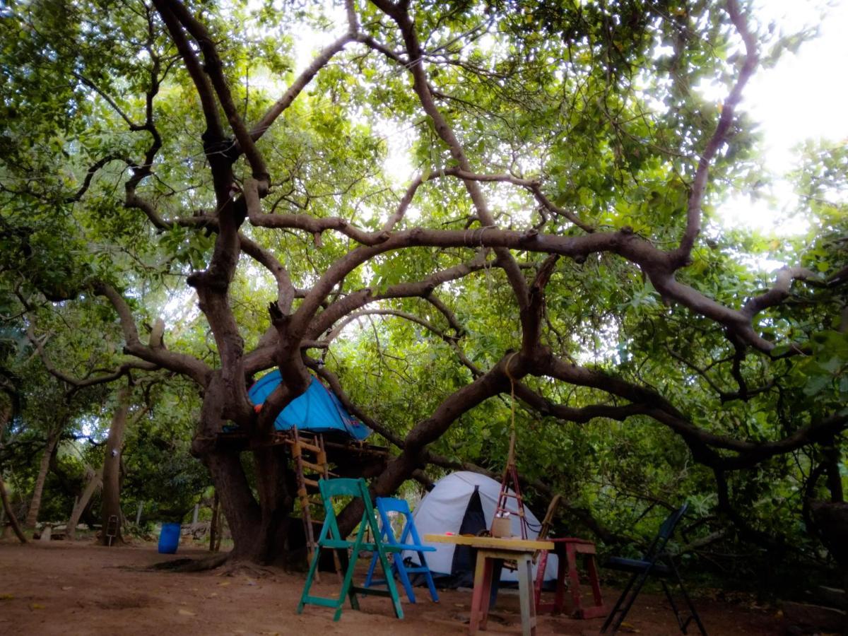 Peace Garden Hostel Auroville Luaran gambar